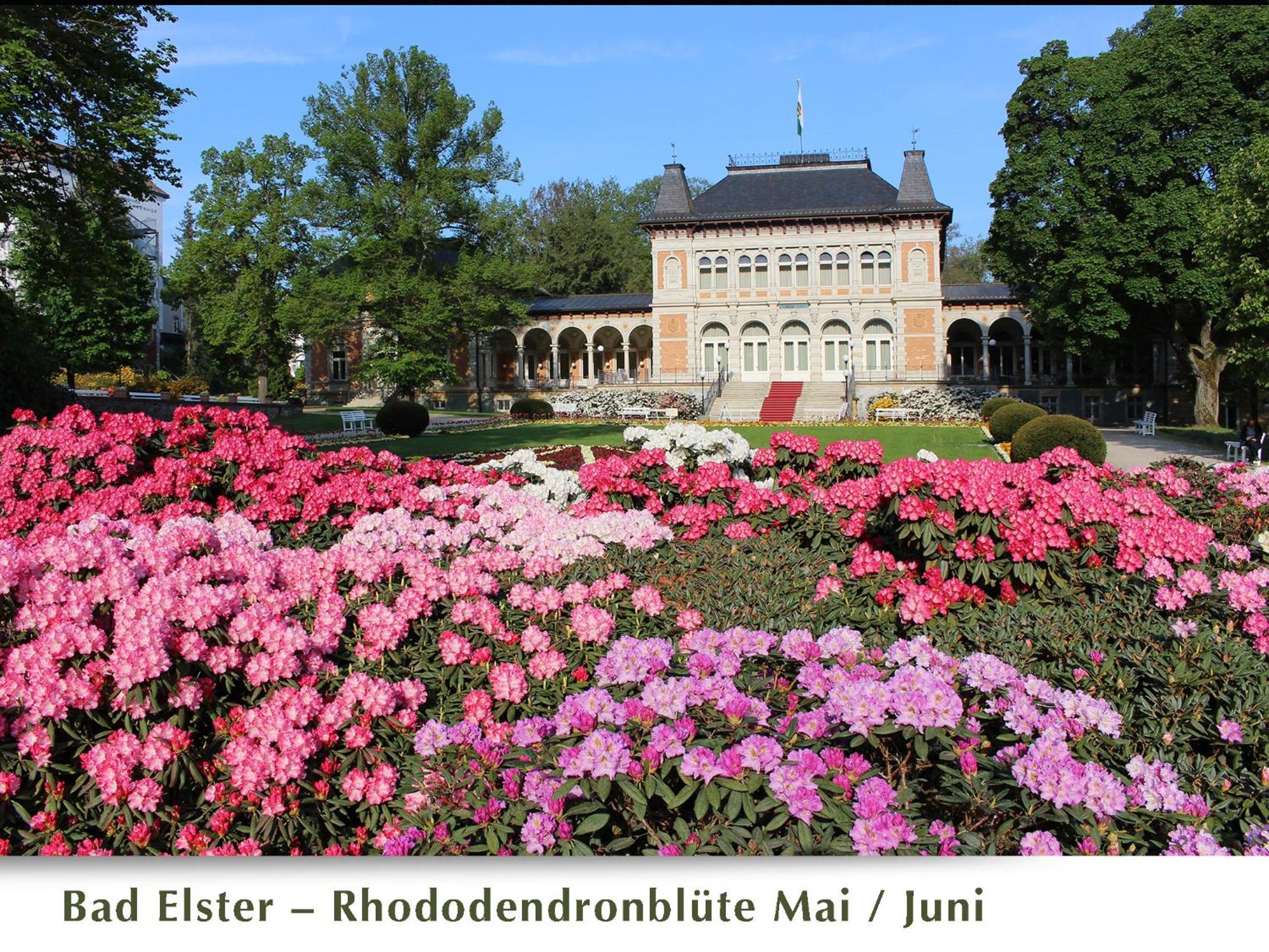 Ferienwohnung Belasarte Bad Elster Esterno foto