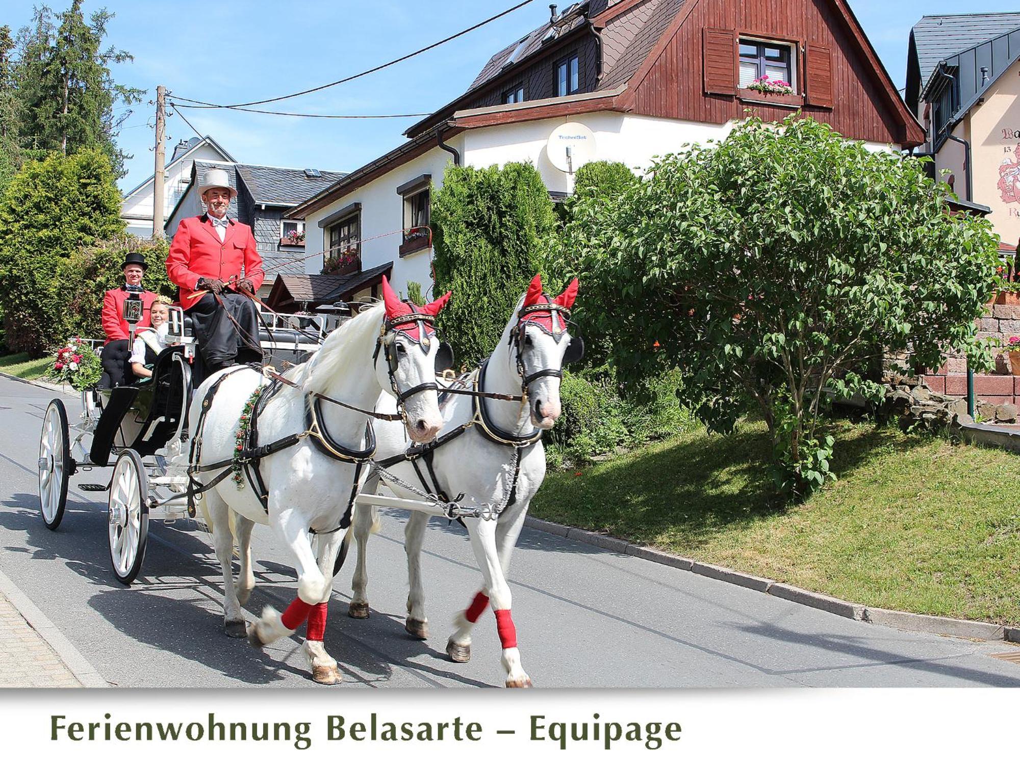 Ferienwohnung Belasarte Bad Elster Esterno foto